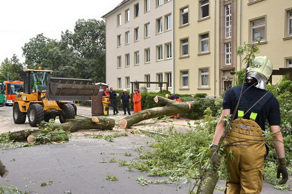 Feuerwehr_Baum   044.jpg